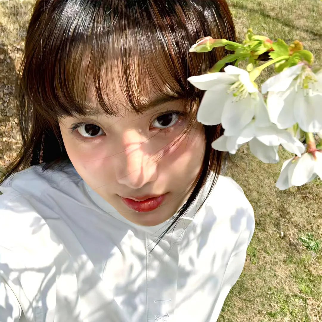 小马王